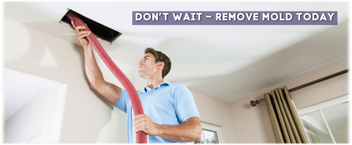 Air Duct Mold Removal in Aurora IL